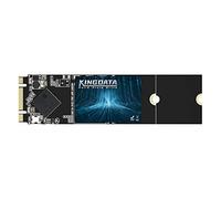 KINGDATA SSD M.2 2280 64 Go Ngff SATA III 6 Go/s Disque dur interne haute performance pour ordinateur portable de bureau (64 Go, M.2 2280)