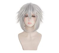 Kingdom Hearts Riku fer-gris perruque courte Cosplay Costume résistant à la chaleur cheveux synthétiques hommes Cosplay perruques