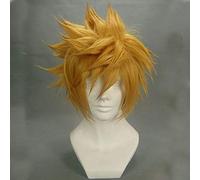 Kingdom Hearts Roxas perruque Ventus Cosplay perruque 30 cm court droit synthétique cheveux homme jeu Anime Costume fête perruque cadeau or Ventus