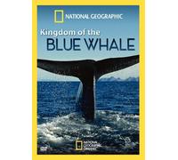 Kingdom of Blue Whale