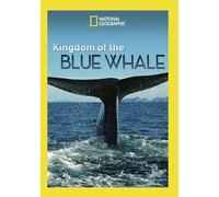 Kingdom of The Blue Whale