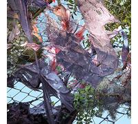 Kingdom - Tears in The Club (LP+Mp3) [Import]