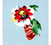 Maribou State – Kingdoms in Colour – CD