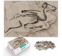 Kingfisher Fossil, Puzzle pour Adultes 1000 Pièces, 1000pcs (40x28cm)