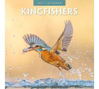 Kingfishers Calendrier mural carré 2027 Red Robin Publishing