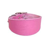 Kingke Collier rembourré Doux en Cuir pour Chiens Whippets Salukis lévriers Collier réglable pour Chiens de Race