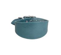 Kingke Collier rembourré doux en cuir pour chiens whippets salukis lévriers collier réglable pour chiens de race