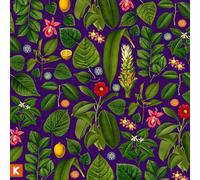 Kings Kaleidoscope - Becoming Who We are