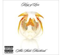 Kings Of Leon - Aha Shake Heartbreak