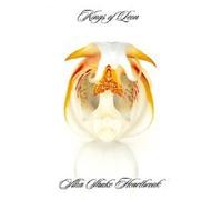 KINGS OF LEON "AHA SHAKE HEARTBREAK" CD NEW