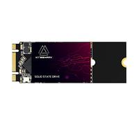 Kingshark gamer SSD M.2 2260 Disque Dur Interne Haute Performance pour Ordinateur Portable de Bureau SATA III 6 Go/s 256 Go 256 Go