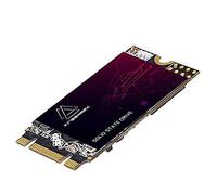 Kingshark M.2 2242 Disque Dur Interne Haute Performance pour Ordinateur Portable de Bureau SATA III 6 Go/s avec SSD (256 Go, M.2 2242) 256 Go