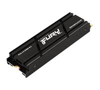Kingston Fury Renegade 500 Go avec dissipateur
