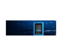 Kingston SSD externe IronKey Vault Privacy 80 IKVP80ES/1920G — FIPS 197, XTS‑AES 256, 250 Mo/s