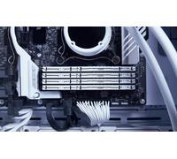 Kingston Mémoire RAM FURY Beast DDR5 16 Go 6000 MT/s CL30 DIMM 288 broches Blanc