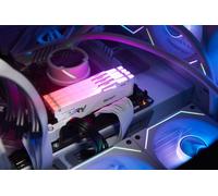 Kingston FURY Beast RGB - DDR5 - module - 32 Go - DIMM 288 broches - 6000 MHz / PC5-48000 - CL30 - 1.4 V - mémoire sans tampon - on-die ECC - blanc Blanc G