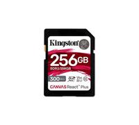 Kingston Technology - SDR2/256GB - Carte mÃ©moire