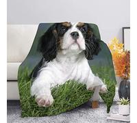 KINITA Couverture Polaire 150 x 200 cm Épagneul Cavalier King Charles Animal 3D Plaide Couverture Douce en Microfibre Flanelle Couverture lit 1 Personne Plaid Polaire Adulte Enfant pour Canape et Lit