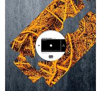 Kink Vs Elektro Guzzi - Atlas/Vodolaz,Kink Remix [Import]
