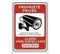 kinoco Lot de 1 18x13 cm Panneau Avertissement Surveillance Vidéo "Propriété Privée" en PVC Rigide Adhésif + 4 Colliers | Intérieur/Extérieur Résistant | Installation Rapide sans Perçage