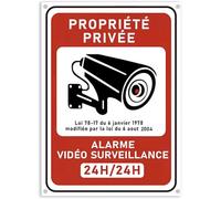 kinoco Lot de 1 18x13 cm Panneau Avertissement Surveillance Vidéo "Propriété Privée" en PVC Rigide Adhésif + 4 Colliers | Intérieur/Extérieur Résistant | Installation Rapide sans Perçage