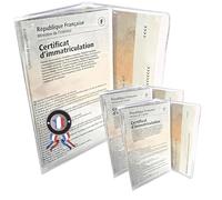 kinoco Pochette Carte Grise Lot de 3 Étui Transparent Carte Grise et Assurance - Pochette Protectrice Anti-Rayures pour Documents Voiture/Moto - Fabrication Française (Durable & Étanche)