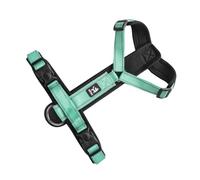 KINSPON Corde de traction réfléchissante sur la poitrine pour animal domestique pour promener en plein air pour chien chaton chiot accessoires
