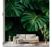 Kioldoq Papier Peint Panoramique Tropical Monstera, Stickers Meuble Motif Feuilles, Papier Peint Autocollant Vert Botanique Autocollant Meuble Pour Salon Chambre Decoration Cuisine 100x70 cm