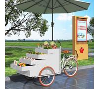 Kiosque de vente alimentaire, chariot de distribution mobile de tricycle avec présentoir de grande capacité, remorque alimentaire commerciale avec parapluie pour événements et utilisation en extérieur