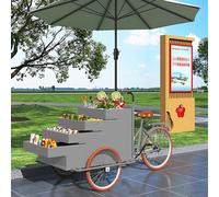 Kiosque de vente alimentaire, chariot de distribution mobile de tricycle avec présentoir de grande capacité, remorque alimentaire commerciale avec parapluie pour événements et utilisation en extérieur