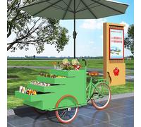 Kiosque de vente alimentaire, chariot de distribution mobile de tricycle avec présentoir de grande capacité, remorque alimentaire commerciale avec parapluie pour événements et utilisation en extérieur