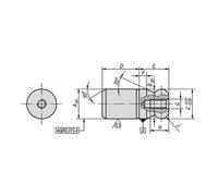 KIPP KIPP Goujon de fixation fileté intérieur unilatéral Gr. 1 C=5 I=5 G=M02,5 Forme A avec embout sphérique Quantité:1