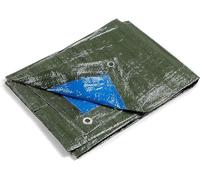 kippen 6056CX Bâche à œillets Bicolore avec Grammage de 90 g/m² Taille 4 x 5 (20 m²) Vert/Bleu