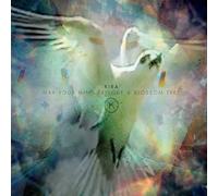 Kira - May Your Mind Explode a Blossom Tree (Vinyl)