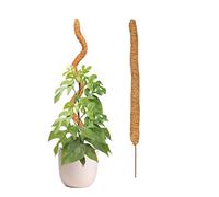 Kirdume Tuteurs en Coco Monstera | Tuteur Plan-Te Support Grimpante Coco pour Monstera Maison Jardin | Tuteur Grimpante,Plan-Te Grimpantes Extension