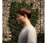 Barley - Landscapes [Import]