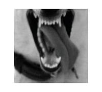 kIRk - Kirk: ZÄša krew (digipack) [CD]