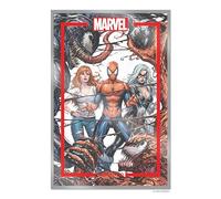 Kirkham, Tyler - The Marvel Portfolio of Tyler Kirkham Spider-man