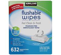 Kirkland Signature 632 lingettes humides jetables