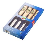Kirschen – Kit de papier à grainer 1181000 – livret de livre blanc