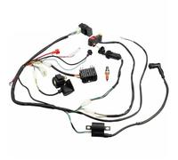 KIRYU Bobine D'allumage Moteur pour Quad Tout-Terrain CG 150cc 200cc 250cc Faisceau Câblage Bobine D'allumage CDI Redresseur Relais Connecteur Verrouillage Électrique Porte
