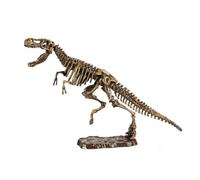 Kisangel 1 Ensemble fossile de Dinosaure kit de fouille de Dinosaures Jouets sur Le thème des Dinosaures Jouets de développement intellectuel Squelette de Dinosaure 3D Fossile : Gypse