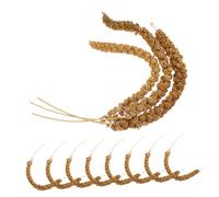 Kisangel 1 Ensemble Nourriture pour Perroquet et Millet Aliments pour Petits Oiseaux Accessoires pour Cage d'oiseaux céréales pour perroquets friandise à mâcher pour Perroquet