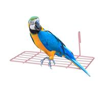 Kisangel 1 Pc Cage à Oiseaux Perroquet Planche Millet Support d'étagère de Panier de Fil Cage à Oiseaux pour perruches doublures étagère Murale en Fer étagère Murale en Grille de Fer Rose