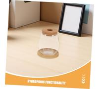 Kisangel 2ensembles Vase Hydroponique Transparent pour Terrarium avec Bouchon Liège Et Soucoupe Bambou pour Culture Eau De Plantes Et Pots Enracinement