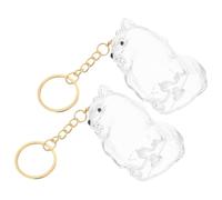 Kisangel 2pièces Porte-Poils Transparent Collecteur de Souvenirs pour Poils Animaux Boîte de Rangement pour Poils Pendentif Souvenir de Chien