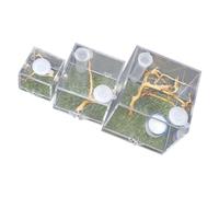 Kisangel 3 pièces Boîte Alimentation pour Insectes Terrarium Transparent pour Araignées Sautantes avec Humidificateur Habitat Pratique Acrylique pour Reptiles et Insectes