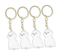 Kisangel 4 Pièces Boîte de Conservation pour Poils de Chien Porte Clés Transparent pour Souvenir Animal Capsule Commémorative Pratique pour Rangement de Poils Accessoire de Mémoire Adapté
