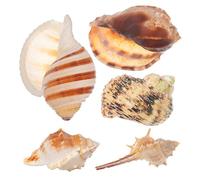 Kisangel 5pièces Décorations De Coquillages Marins pour Aquarium Accessoires De Décor Oceanique pour Réservoirs Cachettes pour Poissons Et Crustacés pour Aménagements Aquatiques Et