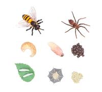 Kisangel 8 pièces Modèles de Cycle de Vie Insectes Éducatifs pour Garçon Fille Simulation Abeille et Araignée Jouets Pédagogiques Résistants Aux Chutes pour Exploration et Observation